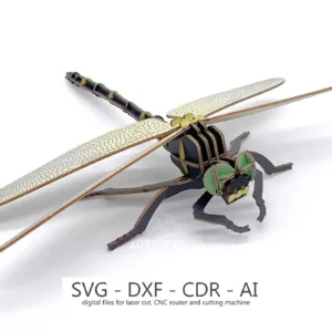 Digital File - Dragonfly